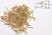 [JFPLGP]Post & Loop Gold Plated 100pcs