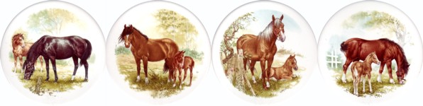  Mare & Foal Set of 4 (150mm)