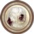  Old English Sheepdog (R) Single (90mm)