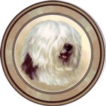 Old Engish Sheepdog (R)Single (150mm)