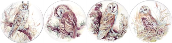 Owls 1 (90mm) set of 4