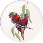 Rainbow lorikeet Single 90mm