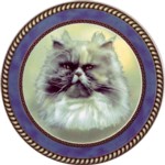 Persian Tortoiseshell (R) Single (150mm)
