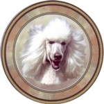 Poodle (CD) Single (90mm)