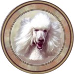  Poodle White (R) Single (150mm)