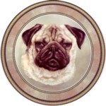 Pug (R) Single (90mm)