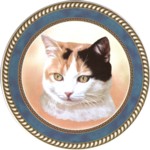 Patched Tabby (R) Single (150mm)