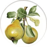 Pears Single (90mm)