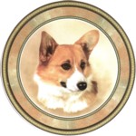 Pembroke Welsh Corgi (R) Single (90mm)
