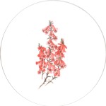 Pink heath Single 150mm