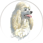  Poodle (CD) Single (150mm)