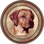 Rhodesian Ridgeback (R) Single (90mm)