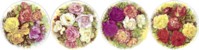  Rose Bouquet Set of 4 (150mm)