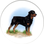  Rott Weiler (M) Single (150mm)