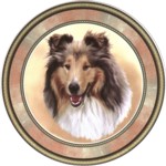 Rough Collie Sable (R) Single (150mm)