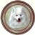  Samoyed (R) Single (150mm)