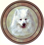 Samoyed (R) Single (150mm)