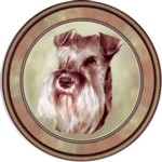 Schnauzer (R) Single (90mm)