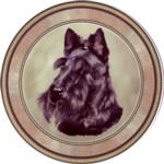 Scottish Terrier (R) Single (150mm)