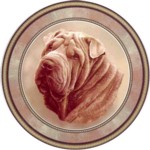Shar Pel (R) Single (90mm)
