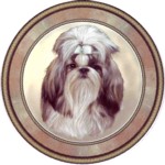 Shih Tzu (R) Single (90mm)