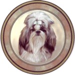  Shih Tzu (R) Single (150mm)