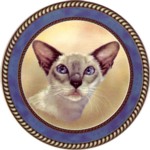  Siamese (R) Single (90mm)