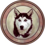  Siberian Husky (R) Single (90mm)