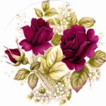 Special Occasions Single (150mm)