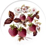 Strawberries 3 Single (90mm)