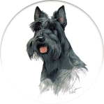 Scottish Terrier (CD) Single (90mm)