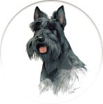  Scottish Terrier (CD) Single (90mm)