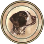 Short Hair Pointer (R) Single (150mm)