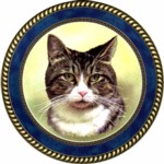 Short Haired Tabby (R) Single (150mm)