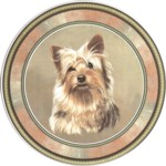  Yorkie Silky Terrier (R) Single (90mm)