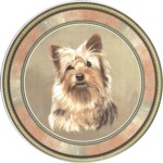 Yorkie Silky Terrier (R) Single (90mm)
