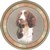  Springer Spaniel (R) Single (150mm)