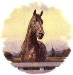 Trotter Single (90mm)