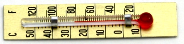 [WT05] Strip Thermometer 45mm 