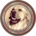 Yellow Labrador (R) Single (90mm)