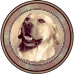  Yellow Labrador (R) Single (90mm)