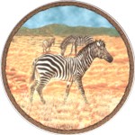 Zebra Single (150mm)