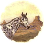 Appaloosa Single (90mm)