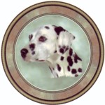  Dalmatian (R) Single (90mm)