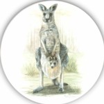 Grey kangaroo Single 90mm