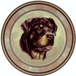  Rott Weiler (R) Single (90mm)