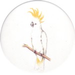 Sulphur Crested Cockatoo 1 Single 150mm