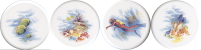  Tropical Coral Set of 4 (90mm)