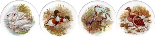 Water Birds Set of 4 (150mm)