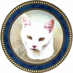  White Cat (R) Single (90mm)